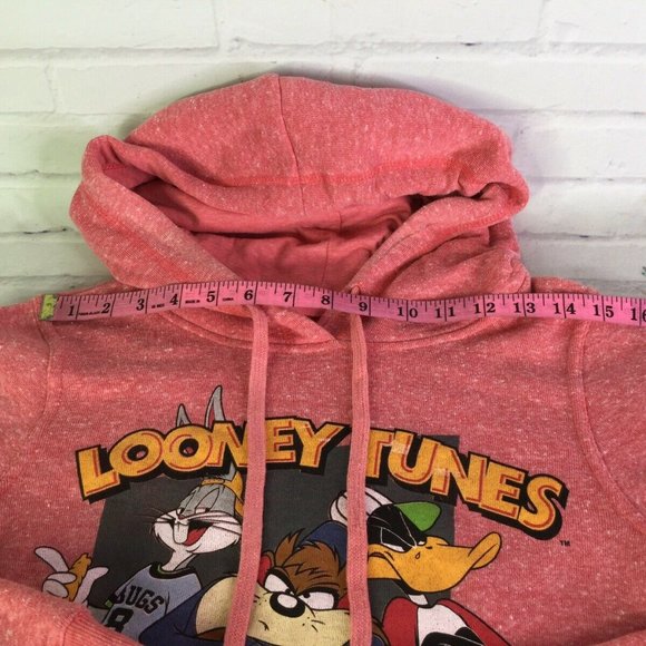 Looney Tunes Bugs Daffy Taz Logo Pullover Hoodie - Picture 5 of 9